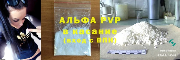 индика Алексин