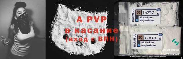 индика Алексин