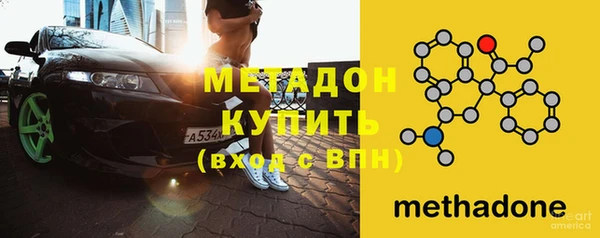 индика Алексин