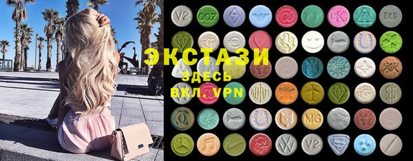индика Алексин