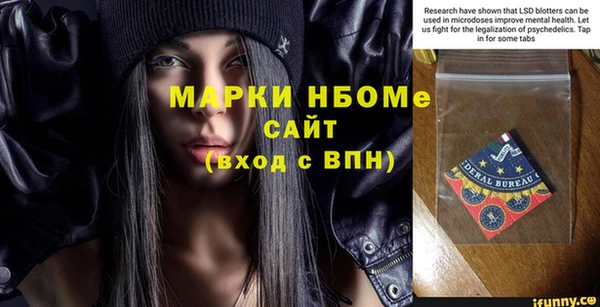 индика Алексин