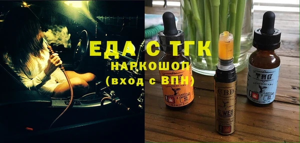 индика Алексин
