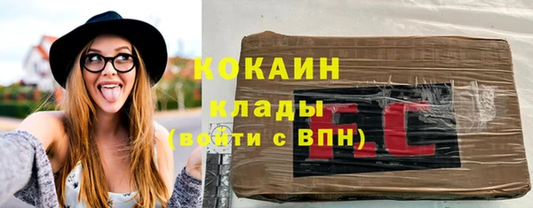 индика Алексин
