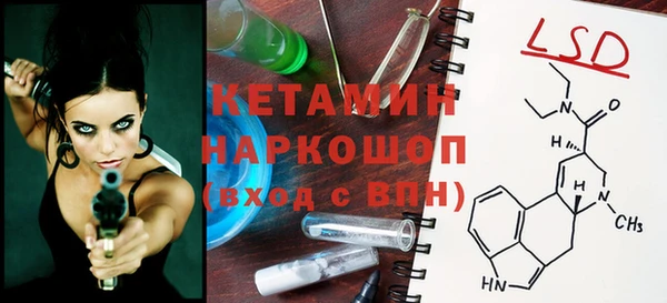 индика Алексин